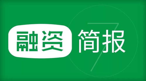 科技行業(yè)動態(tài) 并購與估值引領(lǐng)網(wǎng)絡(luò)科技研發(fā)新浪潮